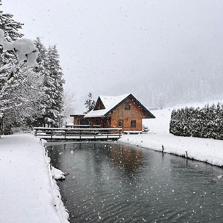 Willa Chalet Am Teich Familie Gaenser Feistritz am Kammersberg Zewnętrze zdjęcie
