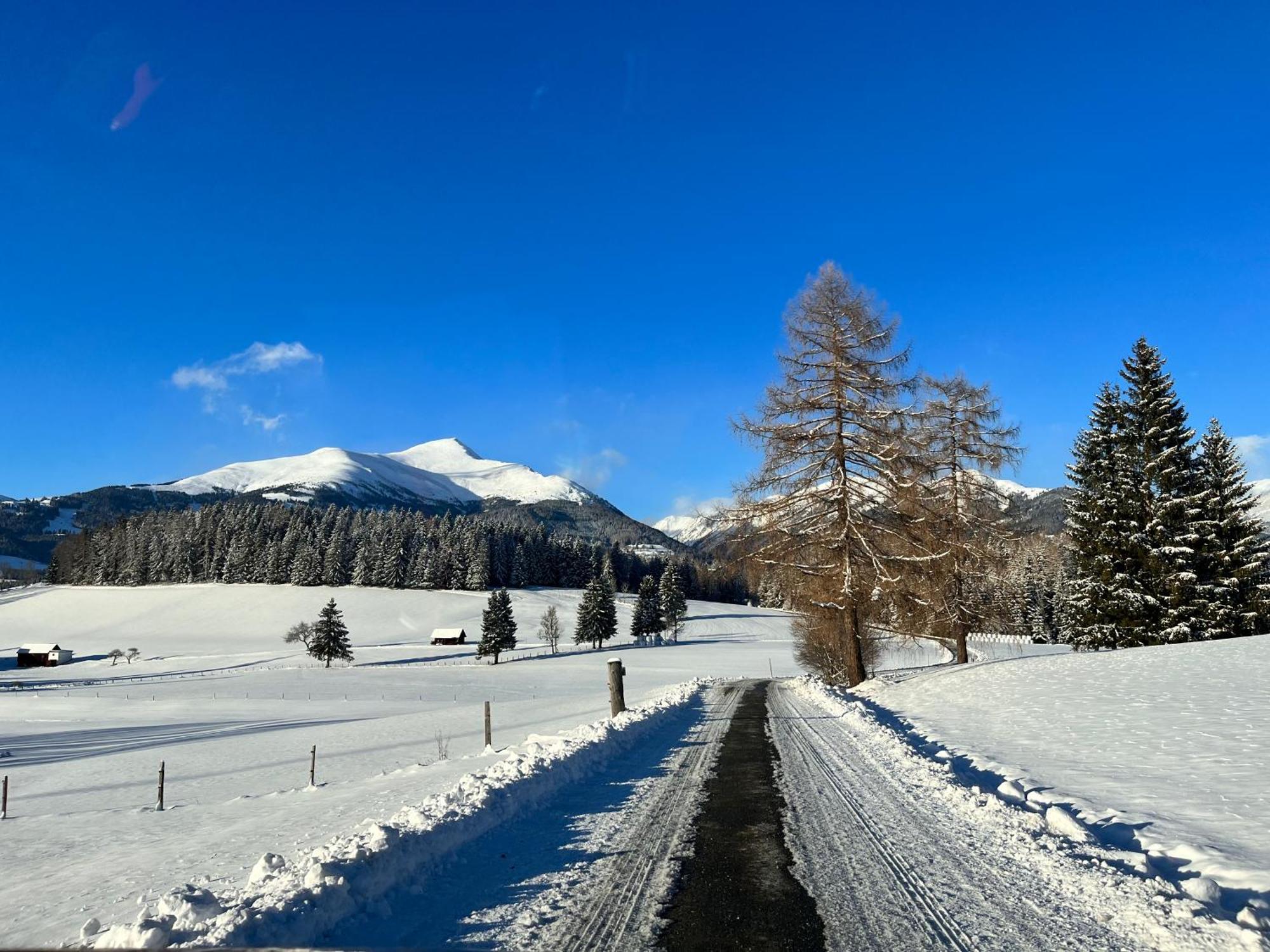 Willa Chalet Am Teich Familie Gaenser Feistritz am Kammersberg Zewnętrze zdjęcie