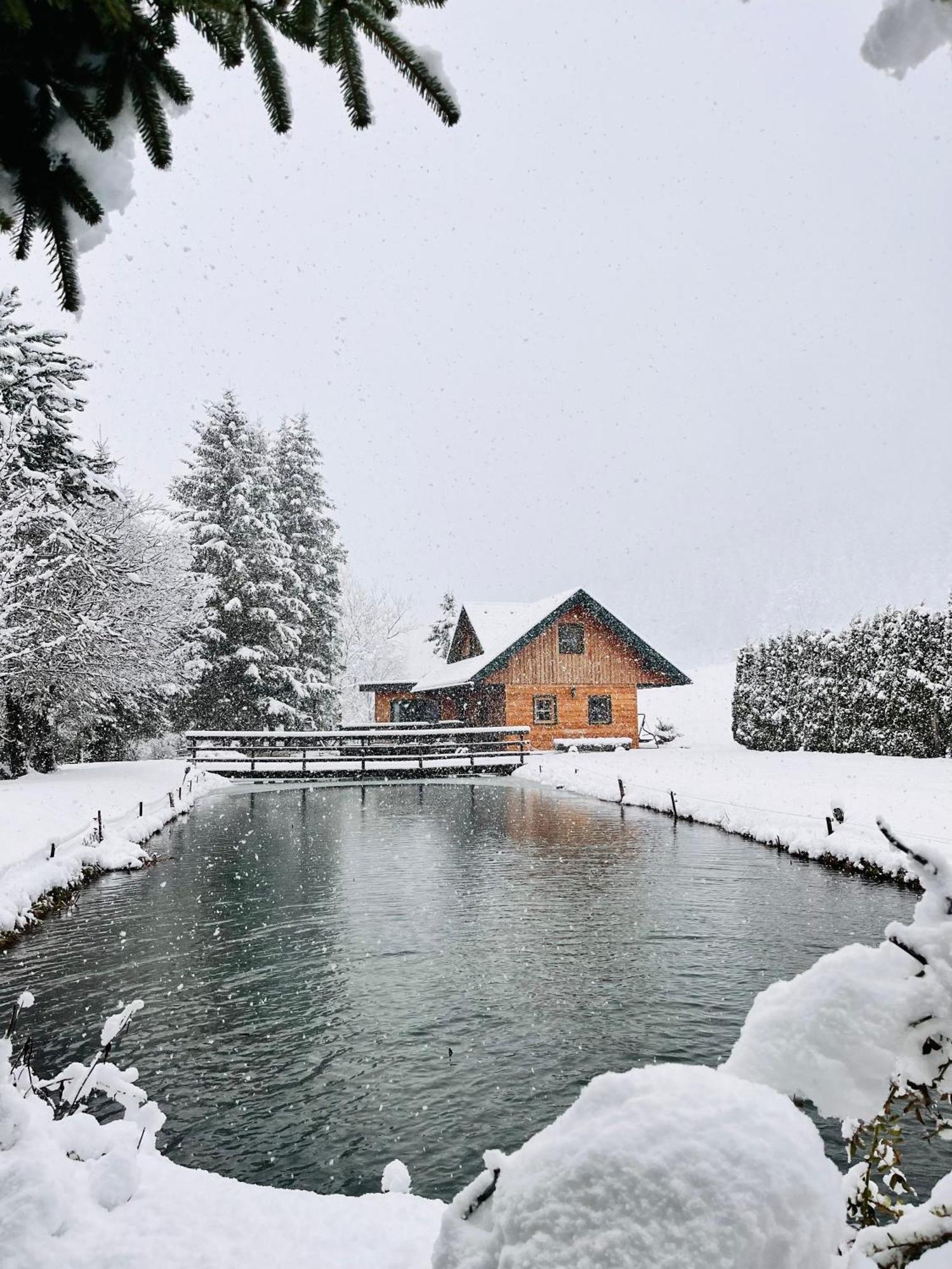 Willa Chalet Am Teich Familie Gaenser Feistritz am Kammersberg Zewnętrze zdjęcie