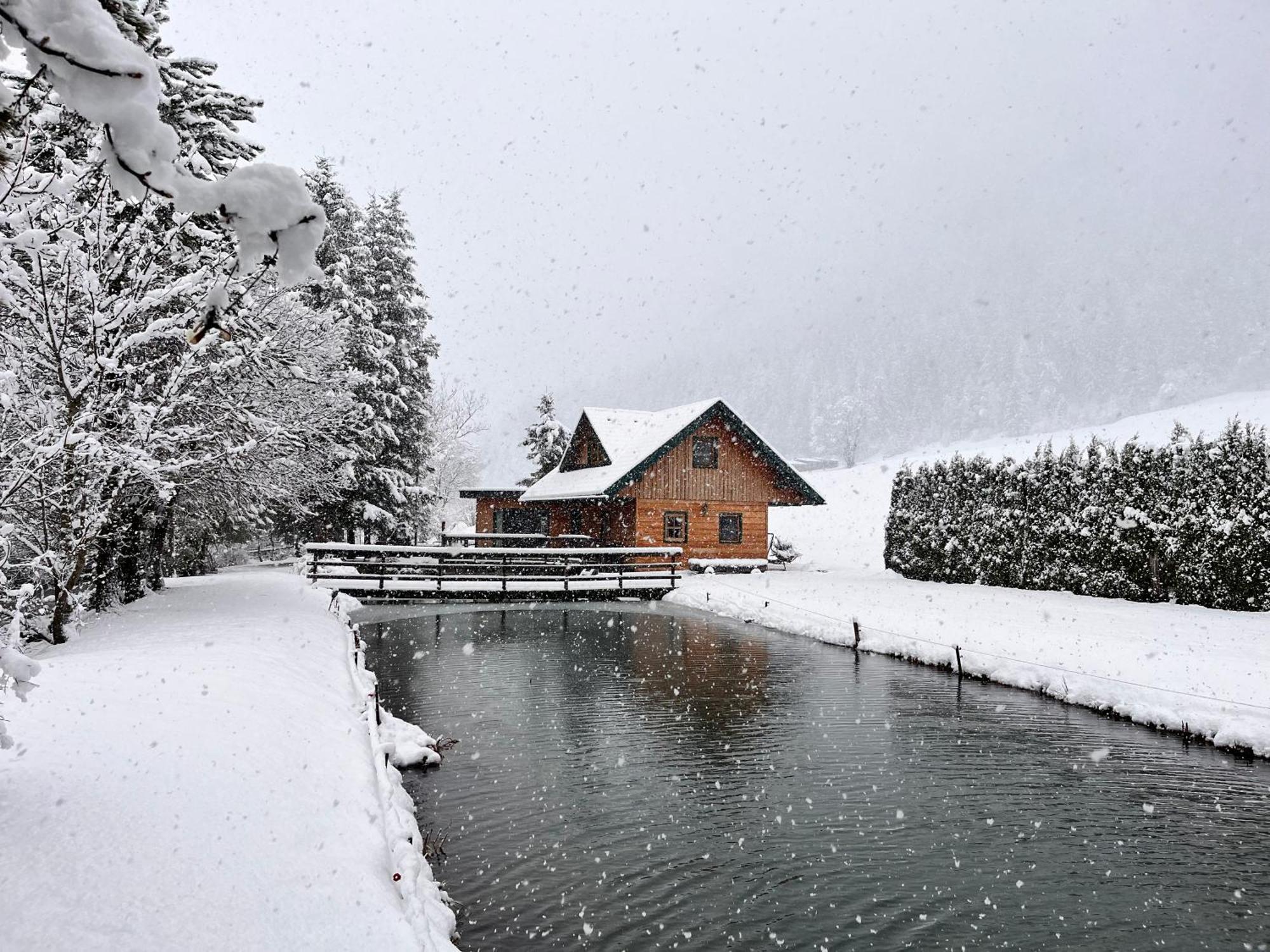 Willa Chalet Am Teich Familie Gaenser Feistritz am Kammersberg Zewnętrze zdjęcie