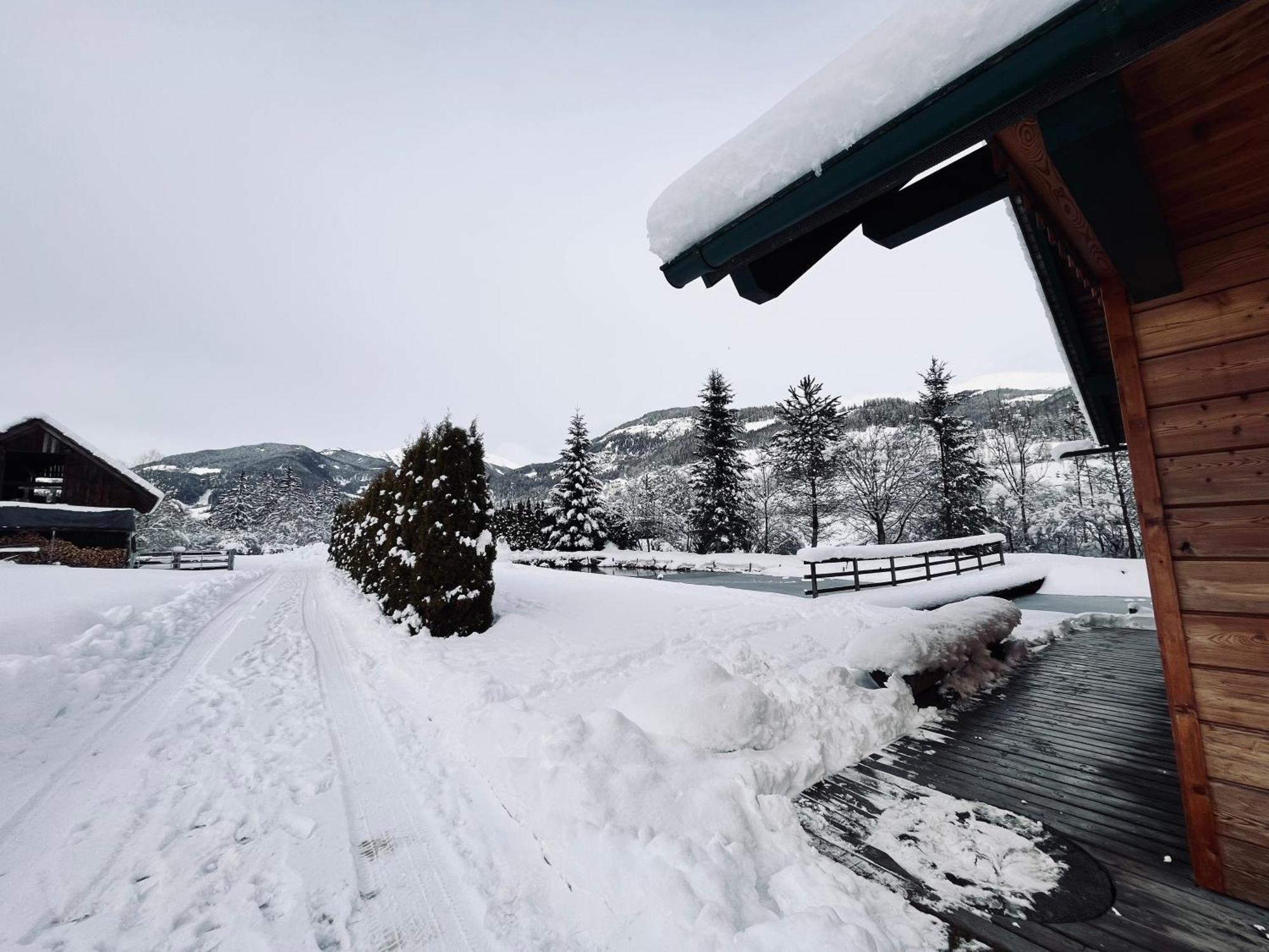Willa Chalet Am Teich Familie Gaenser Feistritz am Kammersberg Zewnętrze zdjęcie