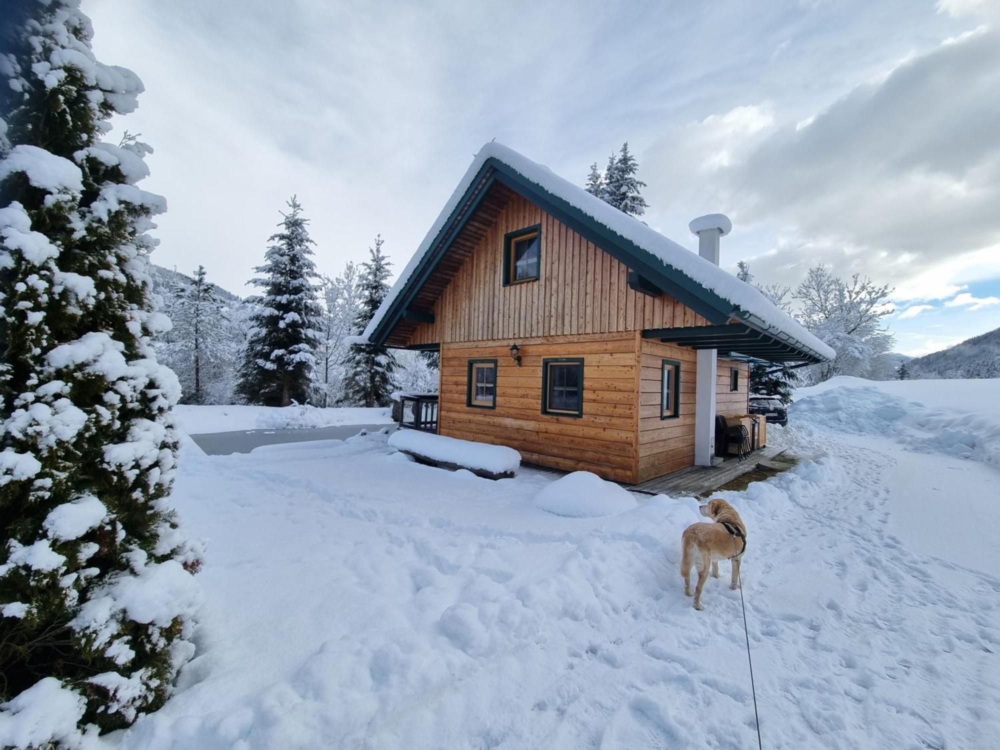 Willa Chalet Am Teich Familie Gaenser Feistritz am Kammersberg Zewnętrze zdjęcie
