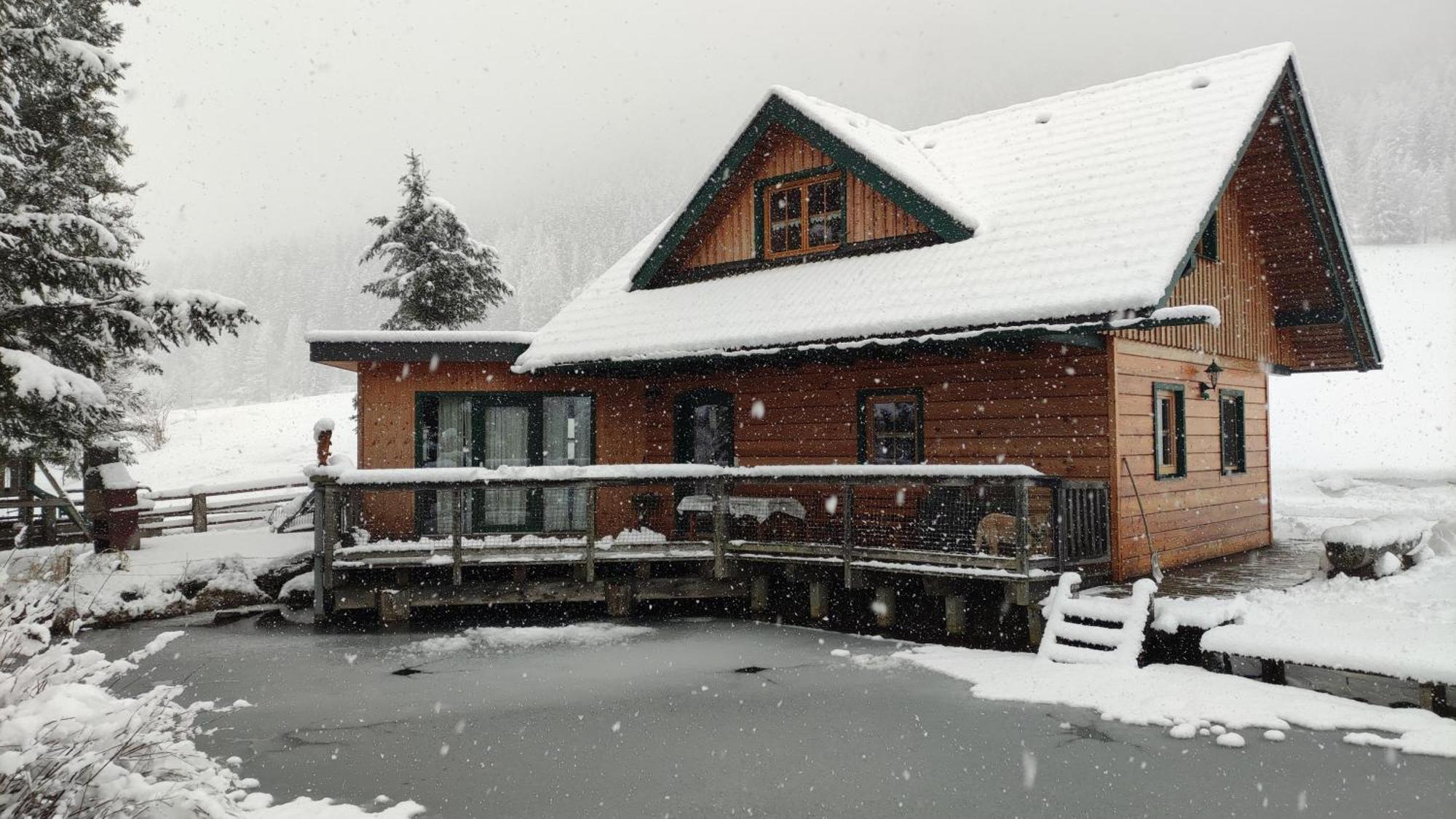 Willa Chalet Am Teich Familie Gaenser Feistritz am Kammersberg Zewnętrze zdjęcie